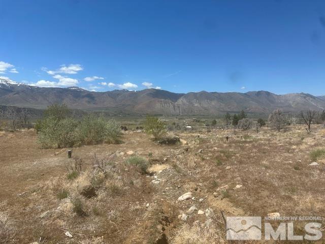 865 Eastside Rd, Coleville, CA 96107 - photo 37