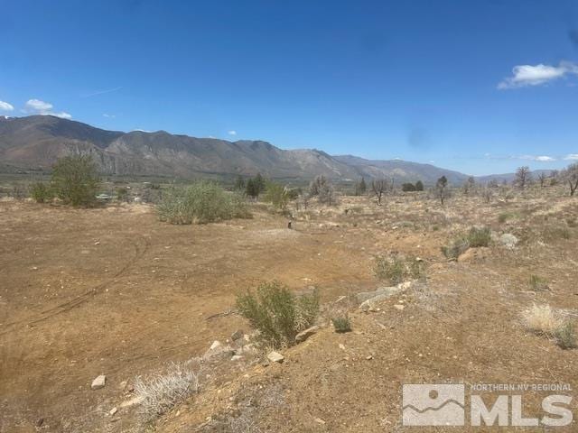 865 Eastside Rd, Coleville, CA 96107 - photo 38