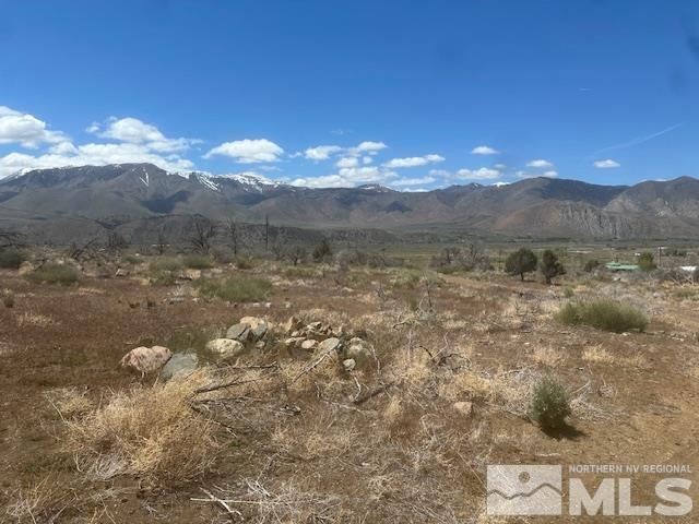 865 Eastside Rd, Coleville, CA 96107 - photo 39