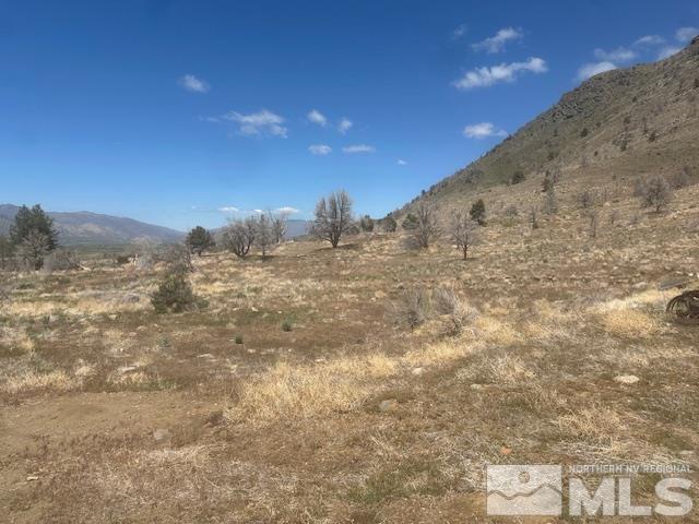 865 Eastside Rd, Coleville, CA 96107 - photo 40