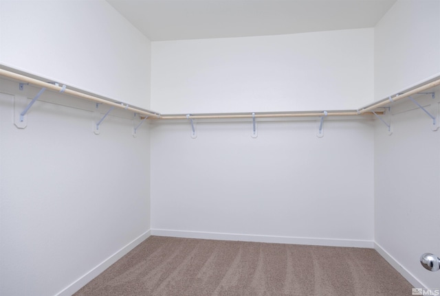 268 Corral Dr, Dayton, NV 89403 - spacious closet featuring carpet