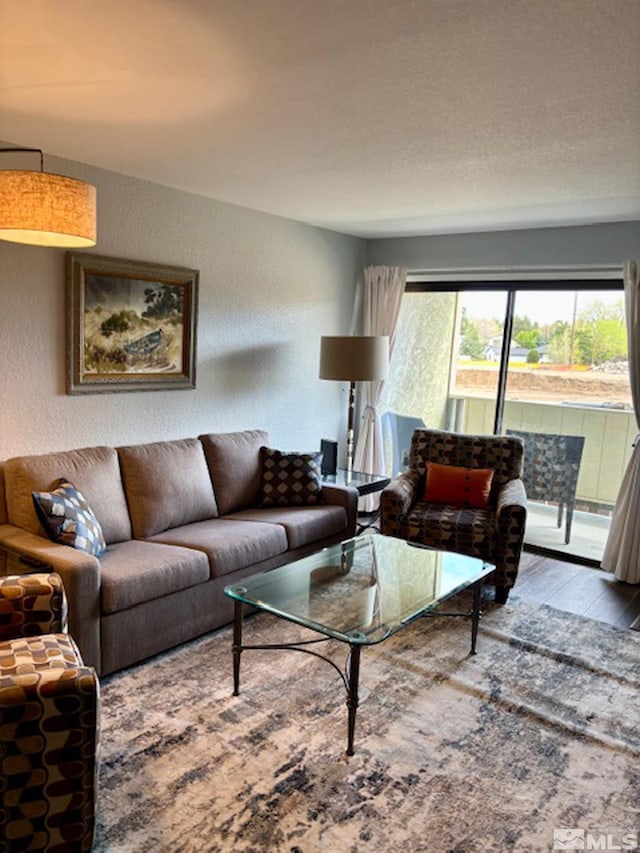 2855 Idlewild Dr Apt 124, Reno, NV 89509 - living area featuring wood finished floors and a textured wall