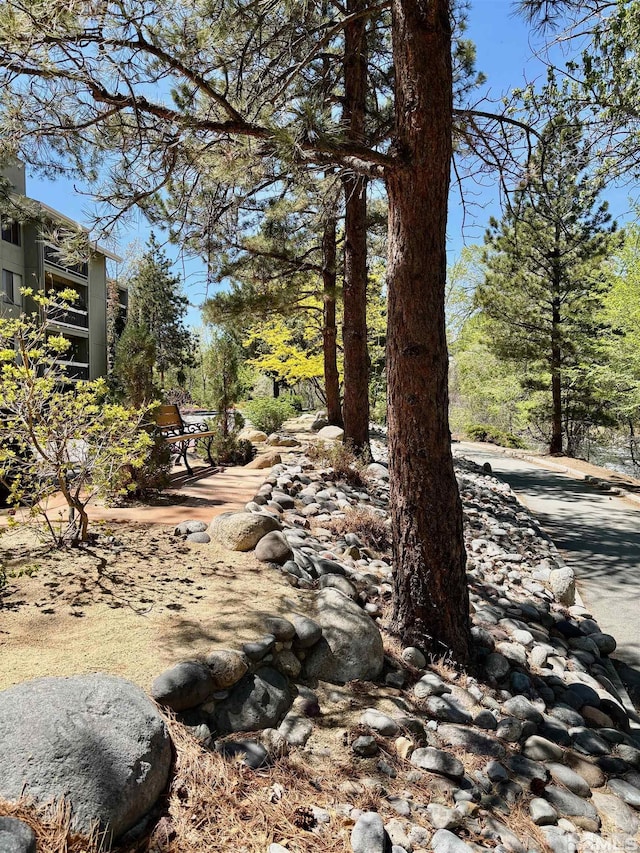 2855 Idlewild Dr Apt 124, Reno, NV 89509 - view of yard