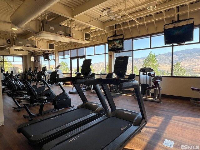 exercise room with wood finished floors, plenty of natural light, and baseboards