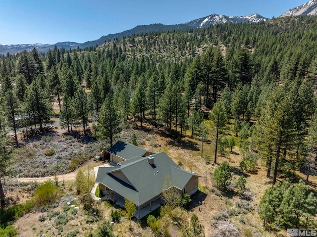 105 Old Mill Pl, Washoe Valley, NV 89704 - photo 32