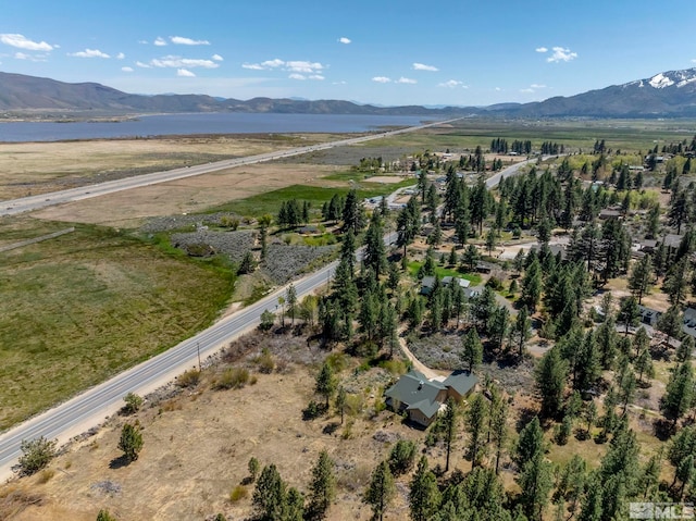 105 Old Mill Pl, Washoe Valley, NV 89704 - photo 33