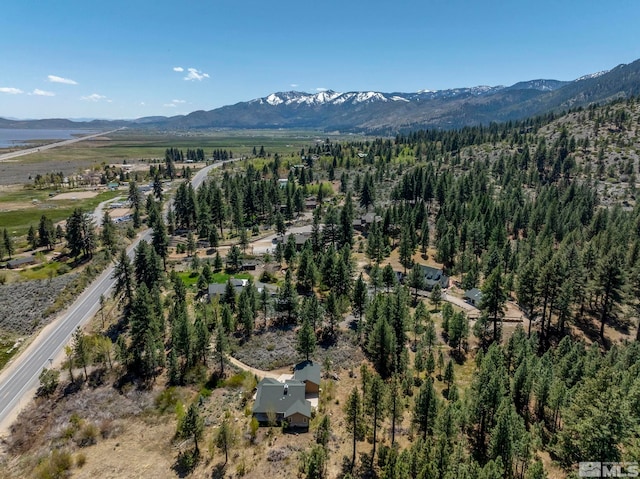 105 Old Mill Pl, Washoe Valley, NV 89704 - photo 34