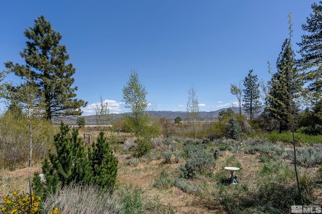 105 Old Mill Pl, Washoe Valley, NV 89704 - photo 36