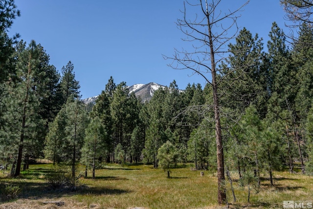 105 Old Mill Pl, Washoe Valley, NV 89704 - photo 37