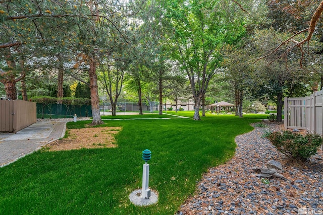 4941 Reggie Rd, Reno, NV 89502 - view of yard