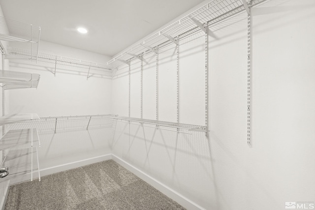 1132 Alder Walk Way, Sparks, NV 89441 - walk in closet with carpet