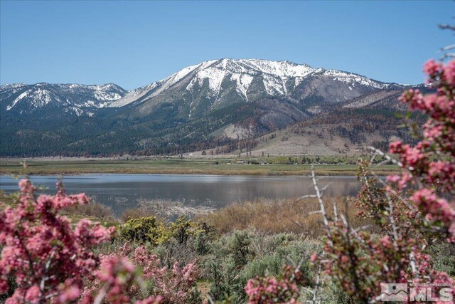 1140 Eastlake Blvd, Washoe Valley, NV 89704 - photo 35