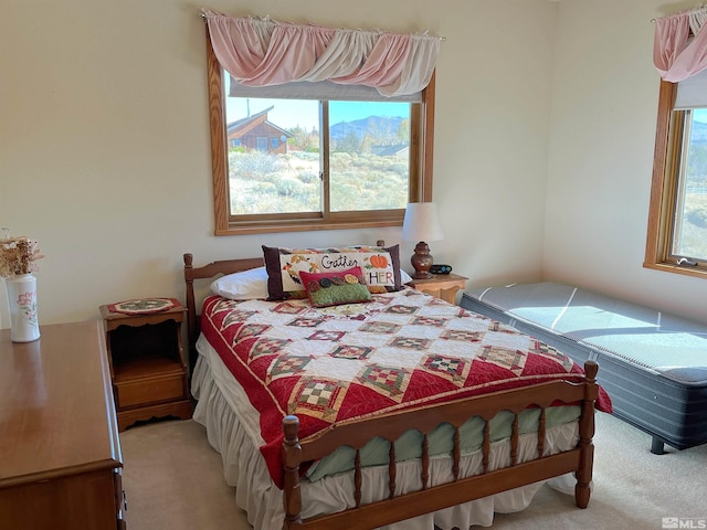 1591 Lombardy Rd, Gardnerville, NV 89410