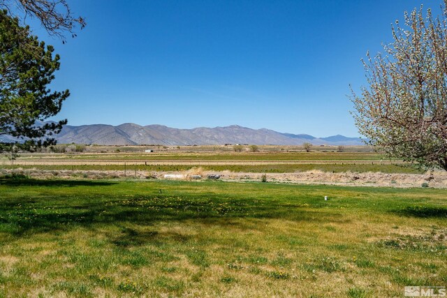1000 Plymouth Ranch Rd, Smith, NV 89430 - photo 36