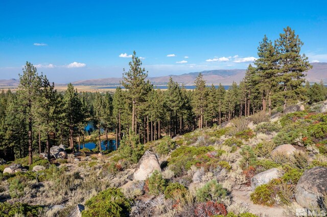 00 Franktown Rd, Washoe Valley, NV 89704