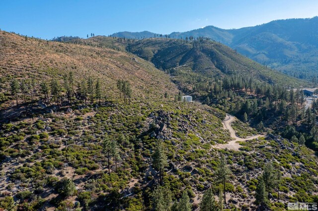 00 Franktown Rd, Washoe Valley, NV 89704