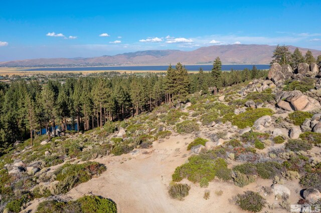 00 Franktown Rd, Washoe Valley, NV 89704