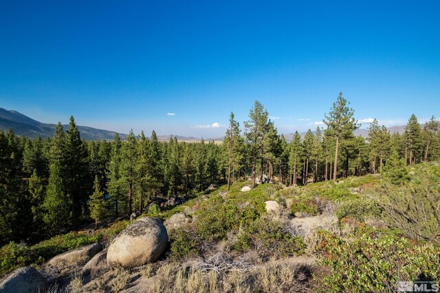 00 Franktown Rd, Washoe Valley, NV 89704