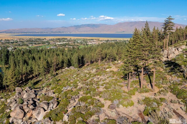 00 Franktown Rd, Washoe Valley, NV 89704