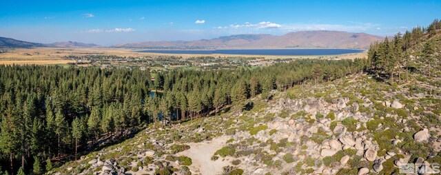 00 Franktown Rd, Washoe Valley, NV 89704