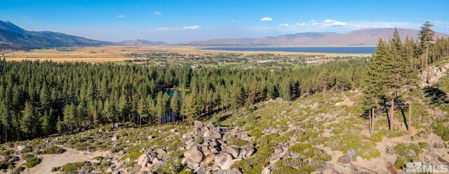 00 Franktown Rd, Washoe Valley, NV 89704
