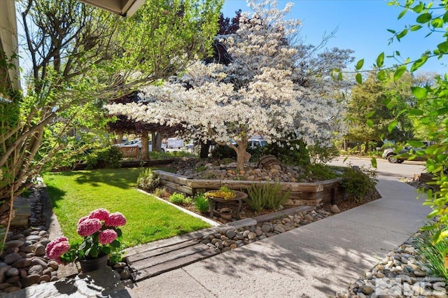 215 E Applegate Dr, Carson City, NV 89706