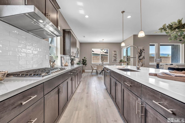 698 Sage Grouse Lp, Gardnerville, NV 89460 - kitchen featuring ventilation hood, a sink, light wood-style floors, baseboards, and dark brown cabinetry