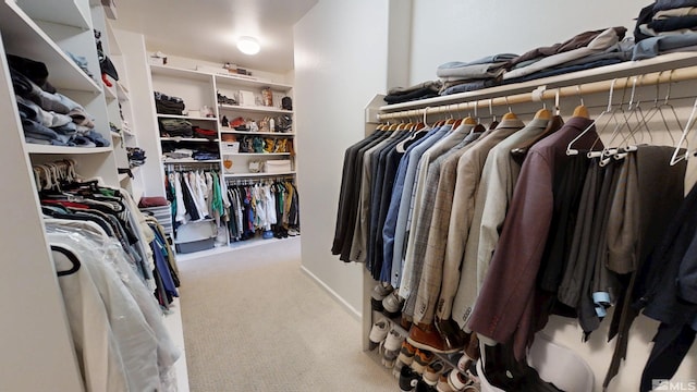 1304 Lambrusca Dr, Sparks, NV 89436 - spacious closet with carpet floors