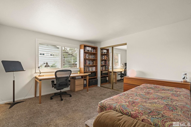 3255 Corey Dr, Reno, NV 89509 - bedroom featuring carpet flooring, a desk, and a closet