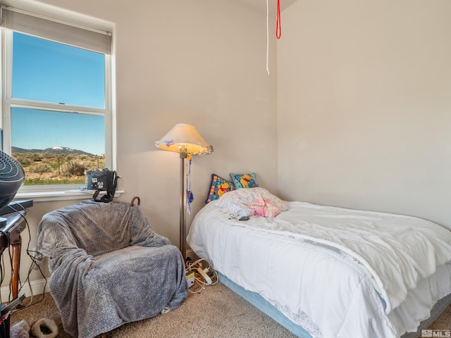 2704 Thirsty Magoo Ct, Minden, NV 89423