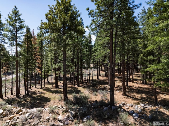 880 Piney Creek Rd, Reno, NV 89511