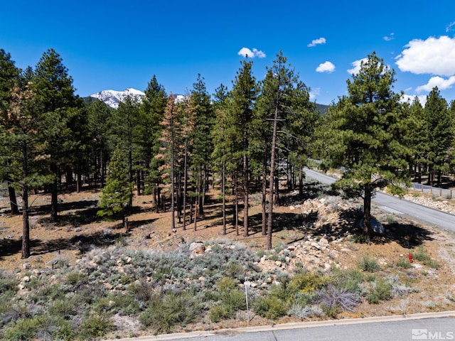 880 Piney Creek Rd, Reno, NV 89511