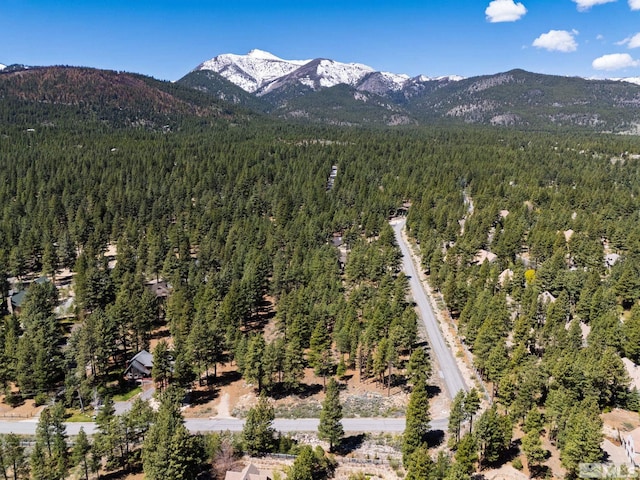 880 Piney Creek Rd, Reno, NV 89511