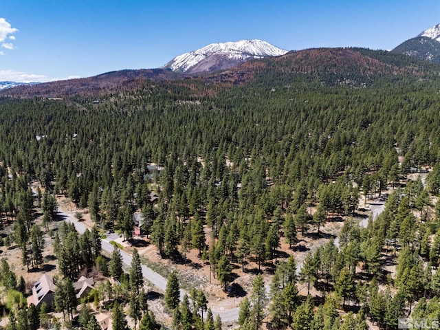 880 Piney Creek Rd, Reno, NV 89511