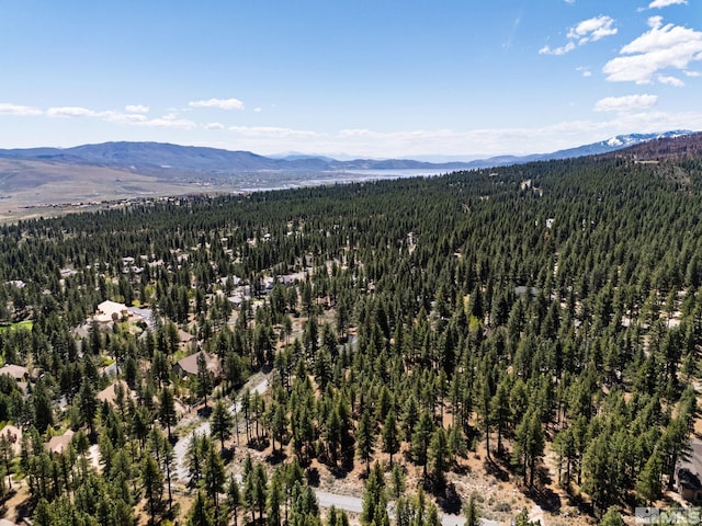 880 Piney Creek Rd, Reno, NV 89511