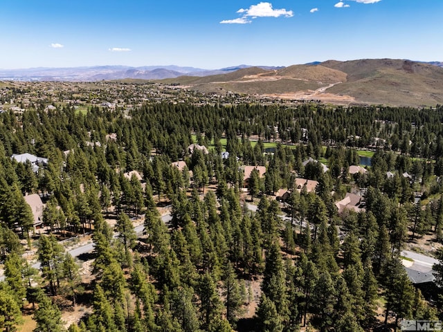880 Piney Creek Rd, Reno, NV 89511