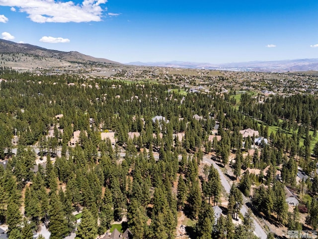 880 Piney Creek Rd, Reno, NV 89511