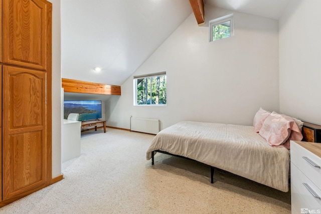 733 Cayuga St, South Lake Tahoe, CA 96150 - photo 22