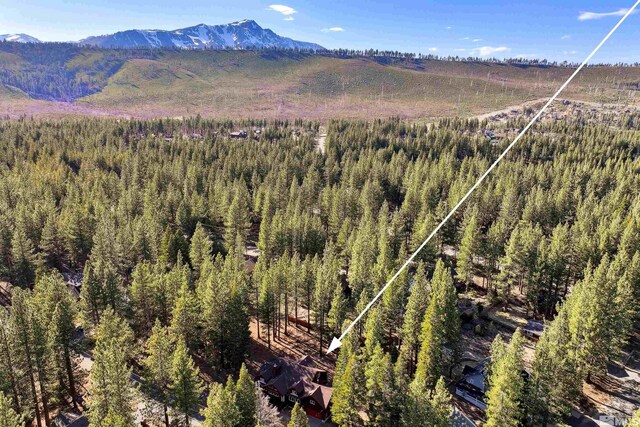 733 Cayuga St, South Lake Tahoe, CA 96150 - photo 37