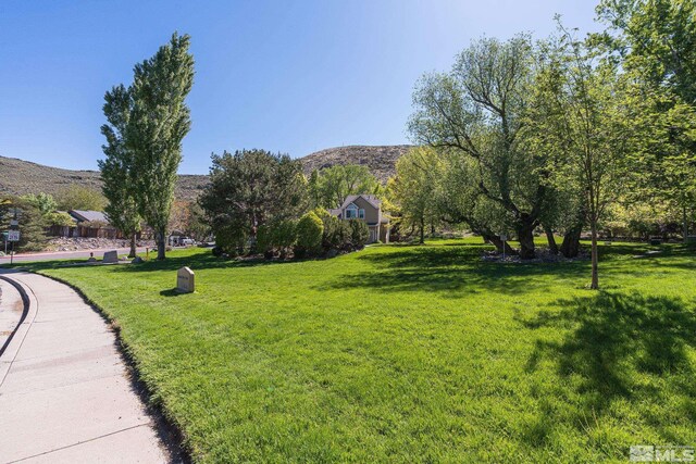 4078 Snowshoe Ln, Reno, NV 89502 - photo 34