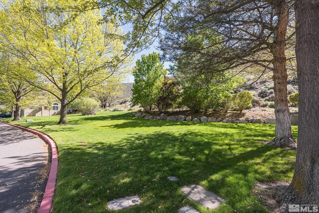 4078 Snowshoe Ln, Reno, NV 89502 - photo 35