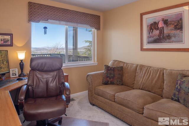 1415 Sioux Trl, Reno, NV 89521 - photo 30