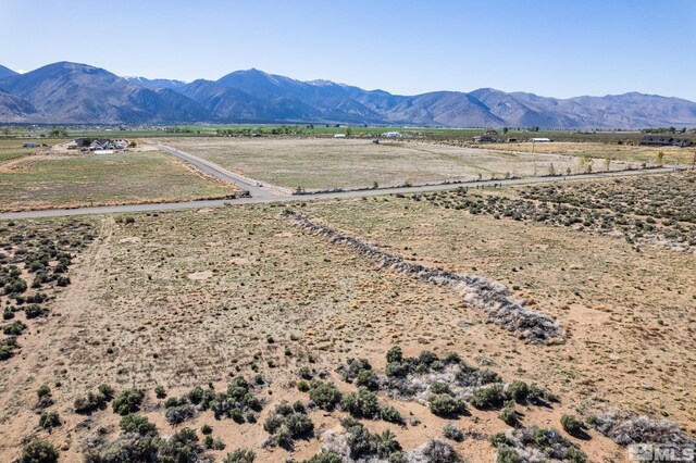 16 Hawk View Dr, Wellington, NV 89444