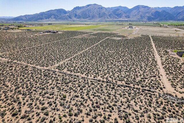 16 Hawk View Dr, Wellington, NV 89444
