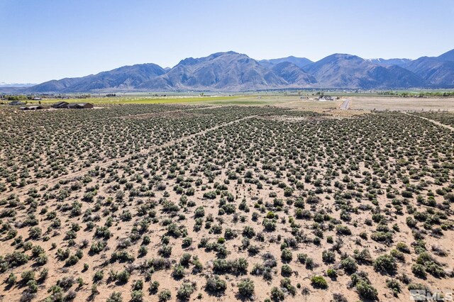 16 Hawk View Dr, Wellington, NV 89444