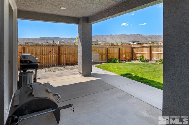 101 Cloud Berry Ct, Sparks, NV 89441 - view of patio / terrace with a mountain view
