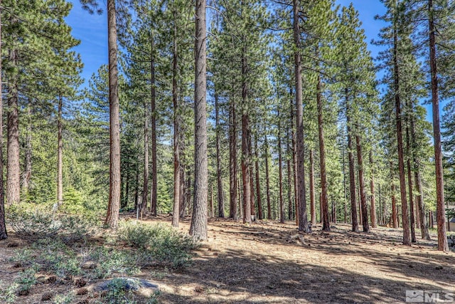 967 Jennifer, Incline Village, NV 89451 - photo 38