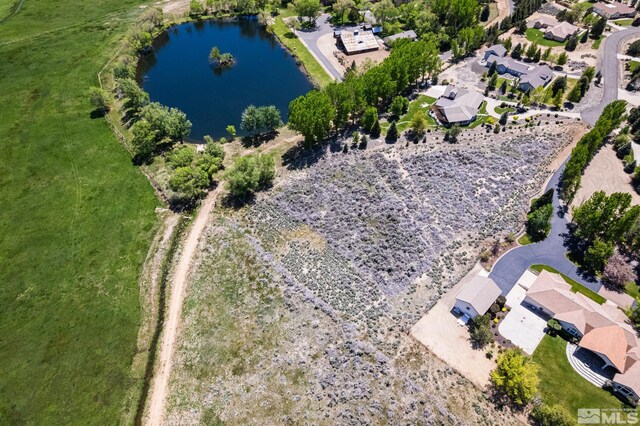 425 Arlene Marie Ln, Gardnerville, NV 89460