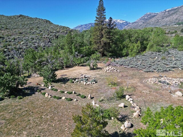 115 Chambers Ln, Woodfords, CA 96120 - photo 6