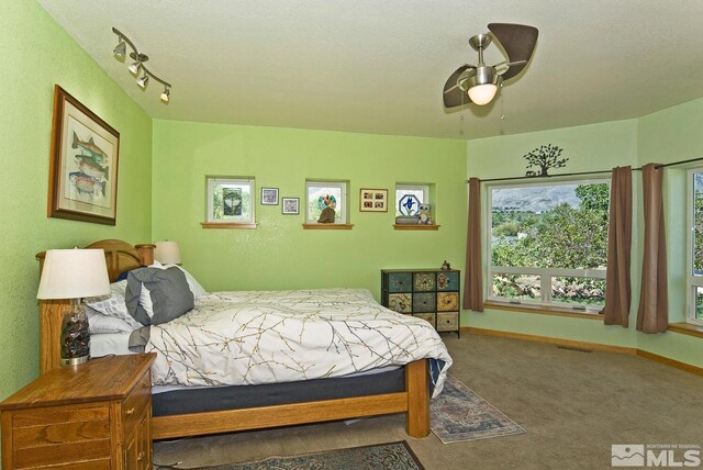 115 Chambers Ln, Woodfords, CA 96120 - photo 21